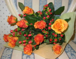 ����ԁ@���ԉԑ�/�I�����W���[�Y�u�[�P